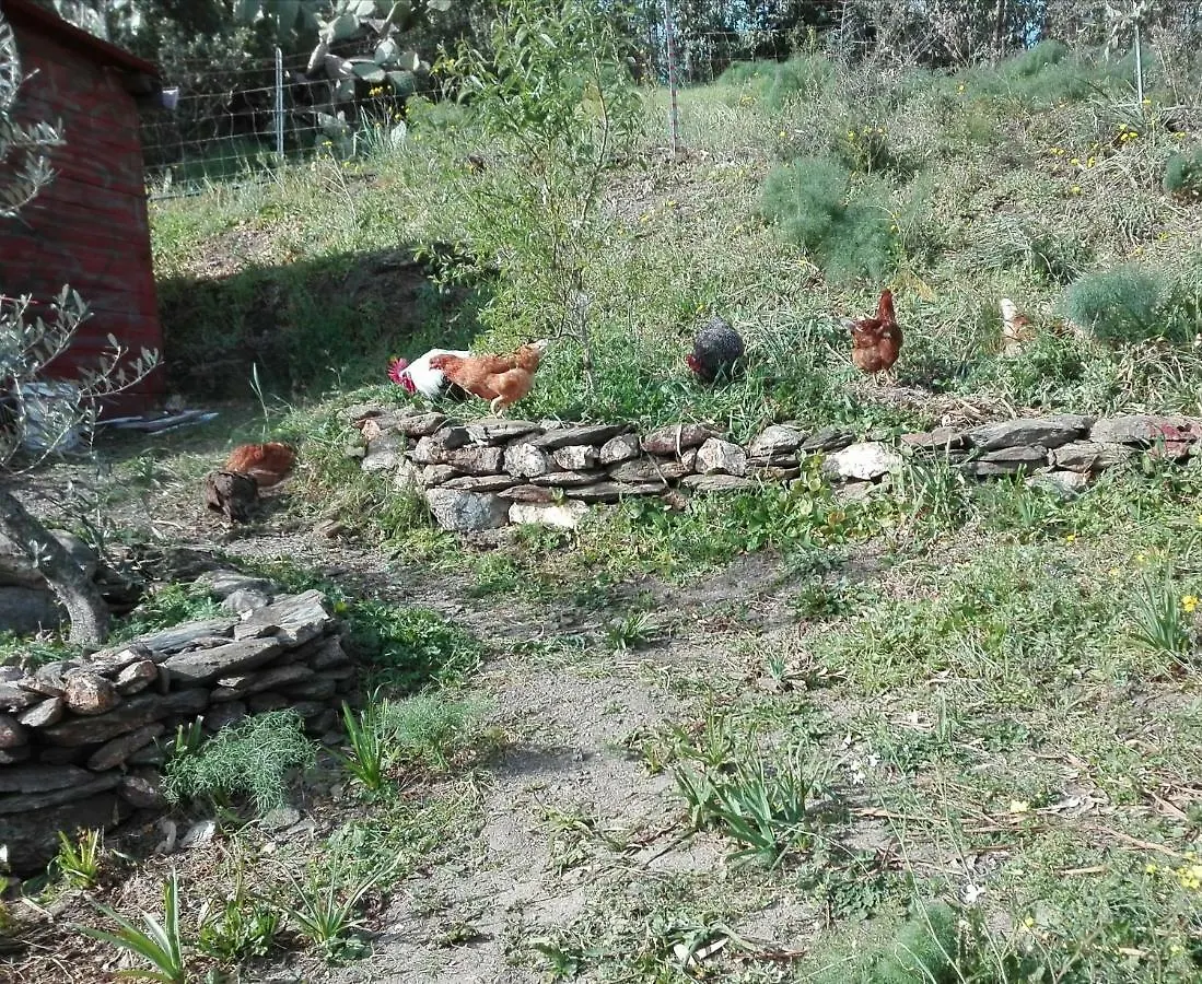 Country house Agriturismo Cuccuru E Jana Guest House Siniscola
