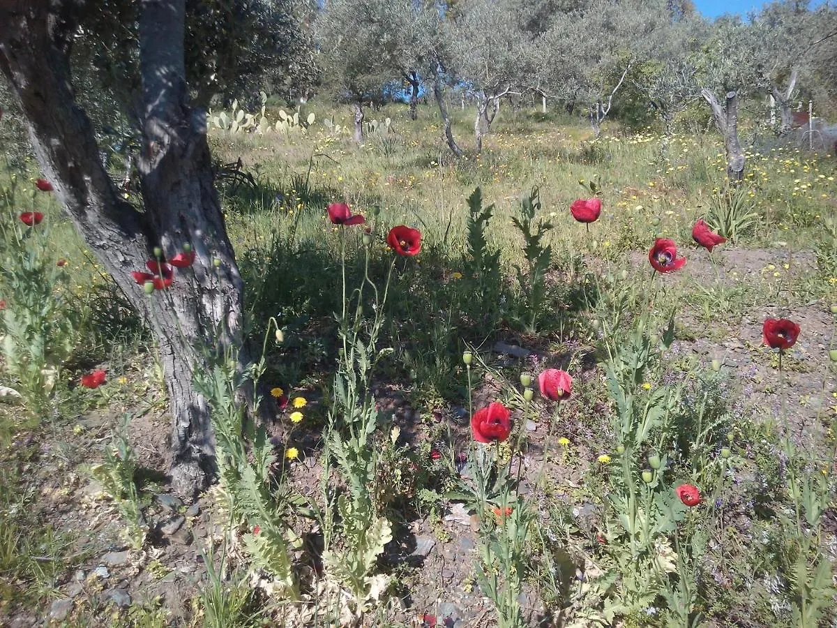 Penzion Agriturismo Cuccuru E Jana Siniscola 0*,  Itálie